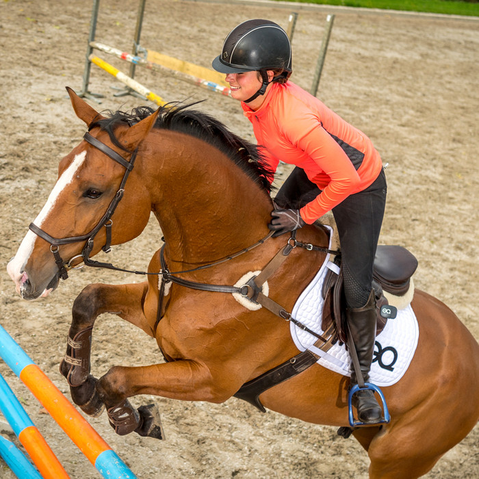 Equestic SaddleClip & Equine training App